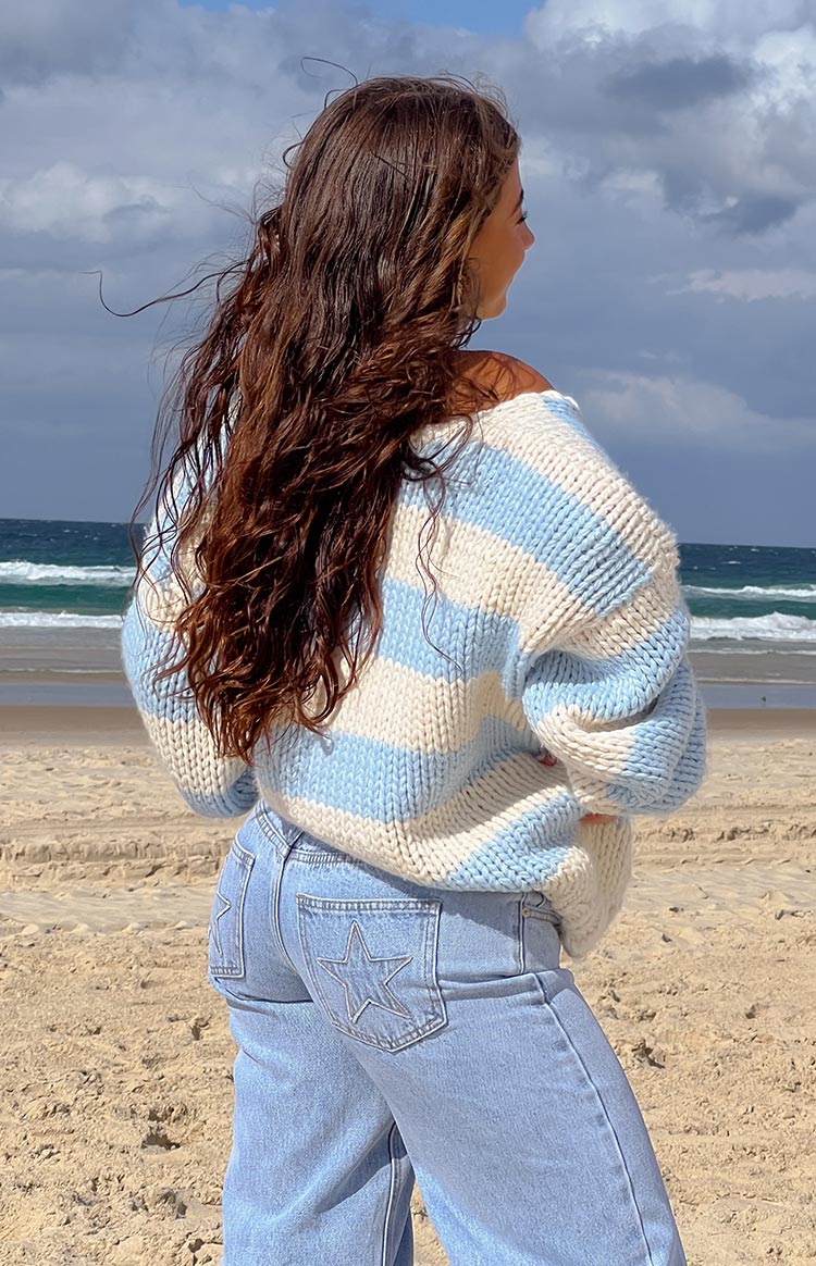 Delvey Light Blue Striped Chunky Knit Sweater BACK ON 10/16 Image