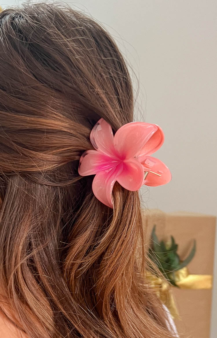 Frangipani Pink Flower Clip Image