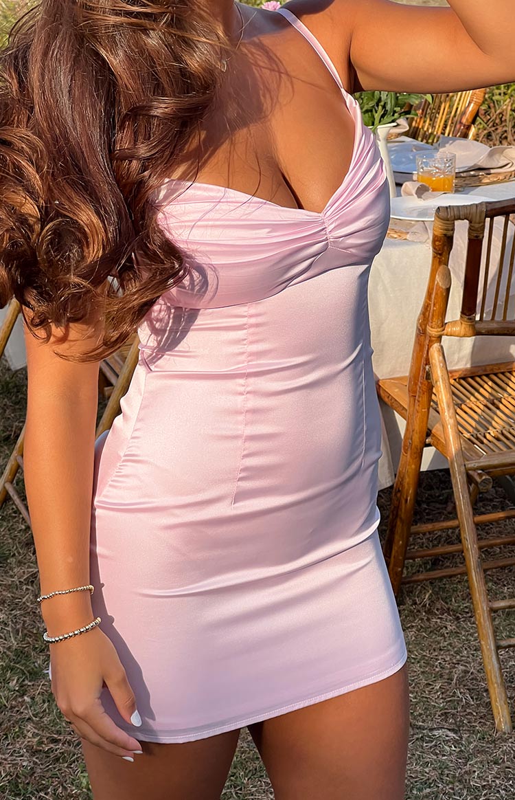 Honey Light Pink Mini Dress Image