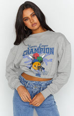House of Champions Grey Sweater – Beginning Boutique US
