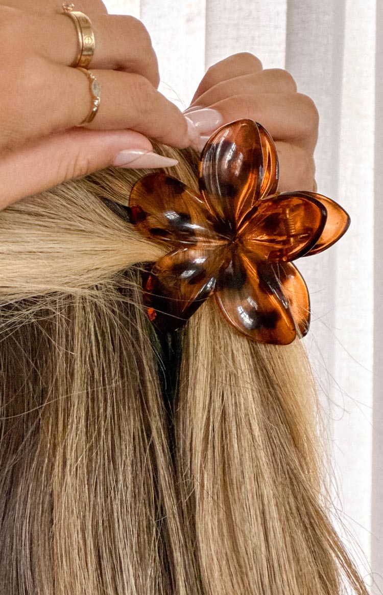 Lysso Brown Flower Clip Image