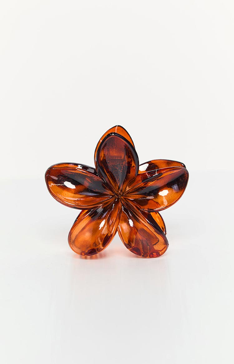 Lysso Brown Flower Clip Image