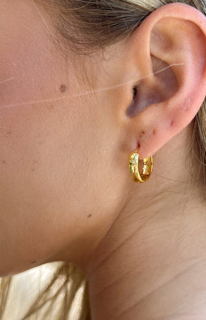 Stardust Gold Hoop Earrings (FREE over $150)