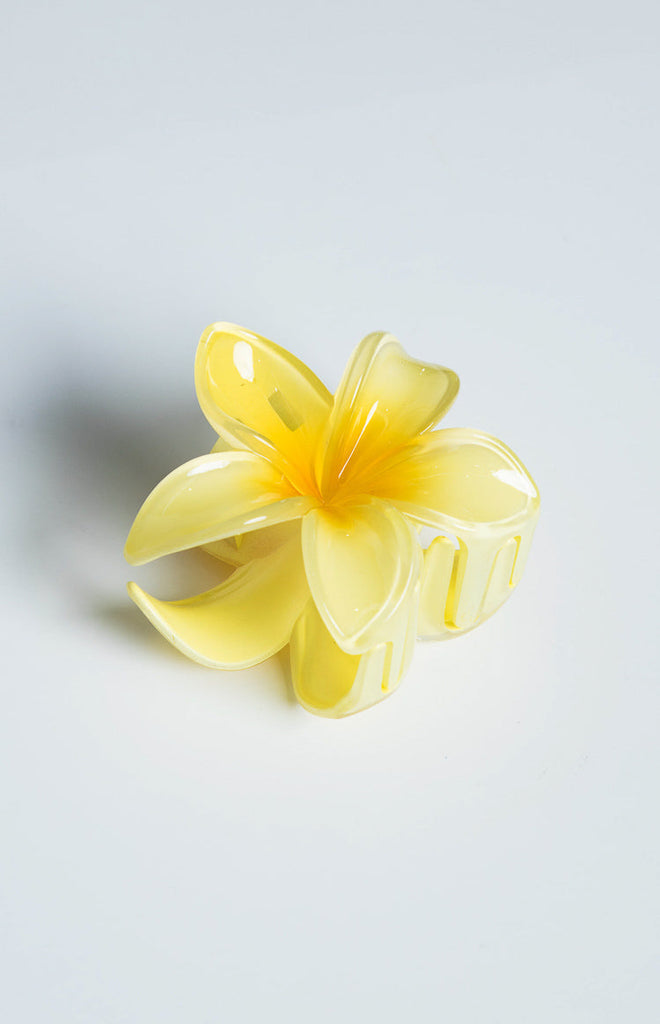 Frangipani Yellow Flower Clip – Beginning Boutique US